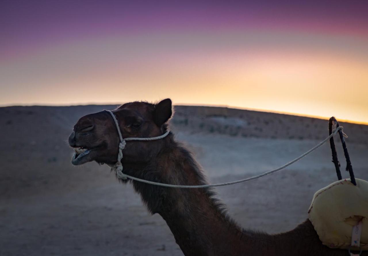 Camp Cameleon Hotel Marrakesh Bagian luar foto