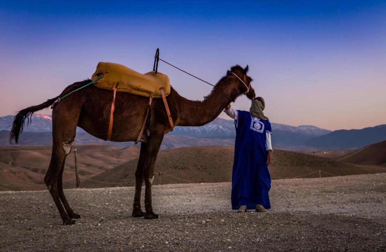 Camp Cameleon Hotel Marrakesh Bagian luar foto