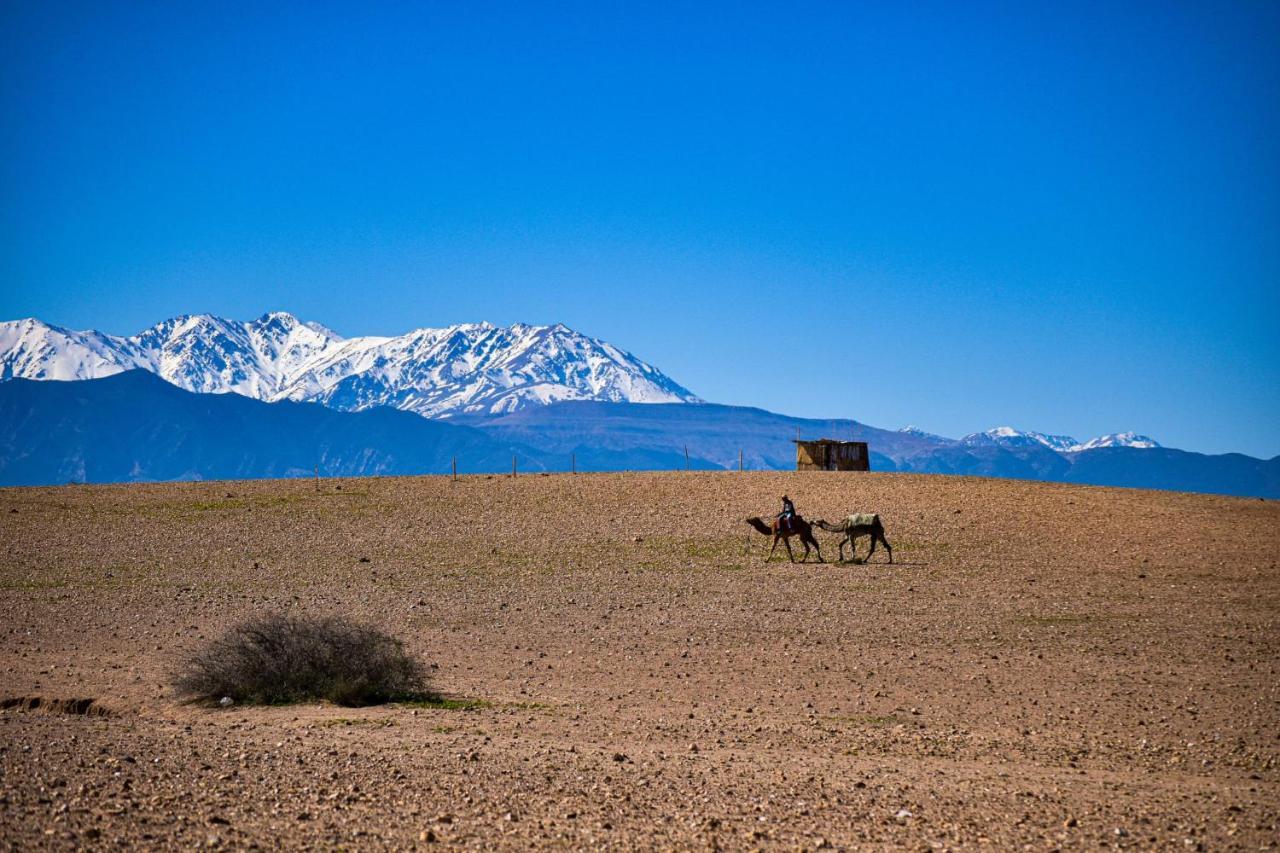 Camp Cameleon Hotel Marrakesh Bagian luar foto
